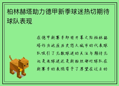 柏林赫塔助力德甲新季球迷热切期待球队表现