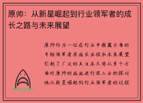 原帅：从新星崛起到行业领军者的成长之路与未来展望